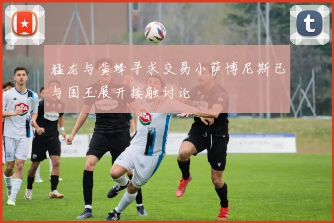猛龙与黄蜂寻求交易小萨博尼斯已与国王展开接触讨论
